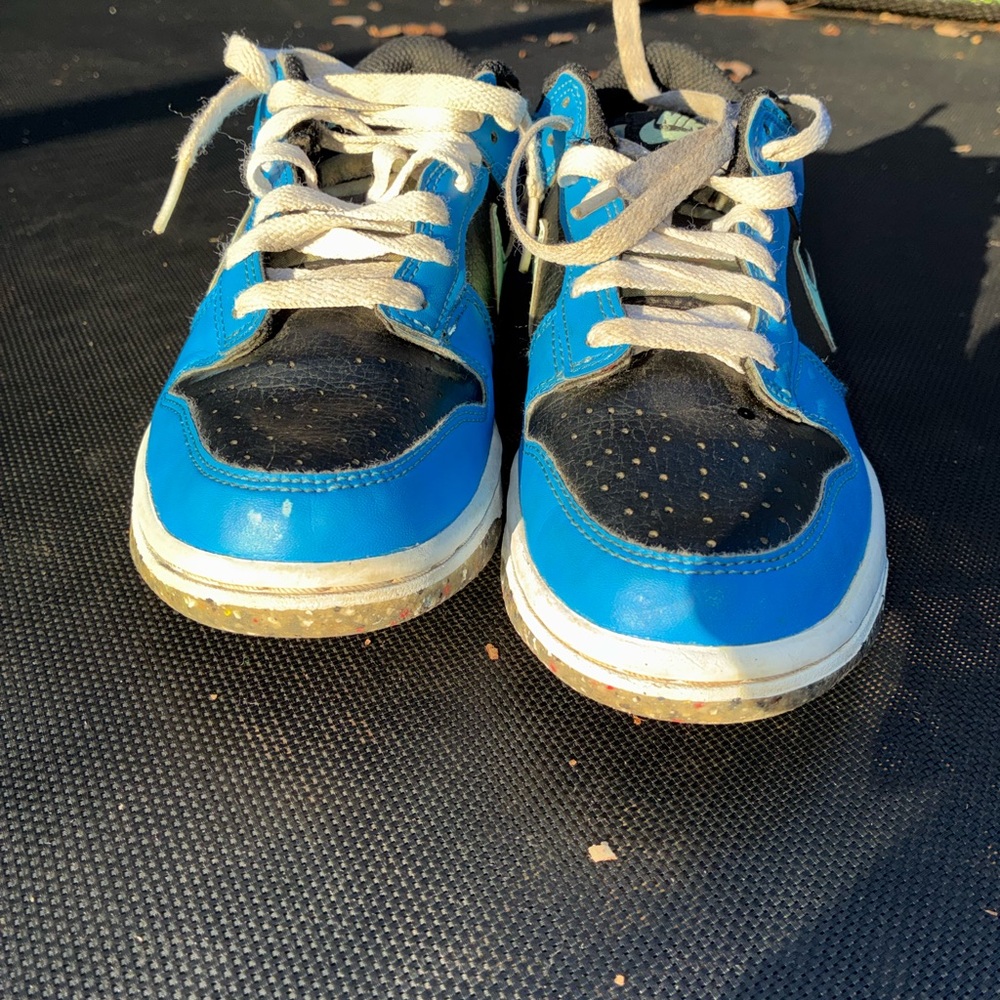 Blue and Black Kids Nike Dunks Shoes